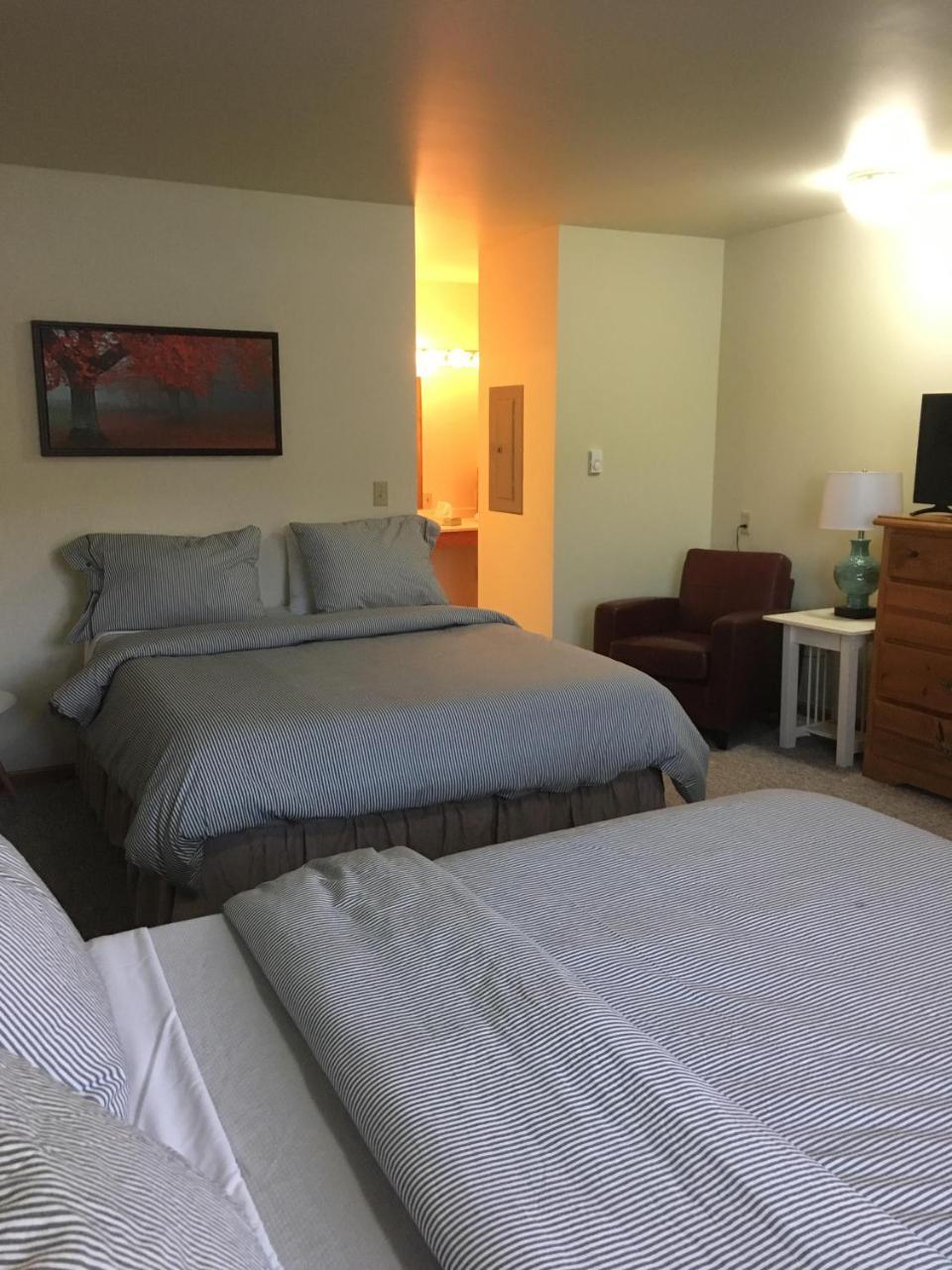 Village Inn Motel Chatham Extérieur photo