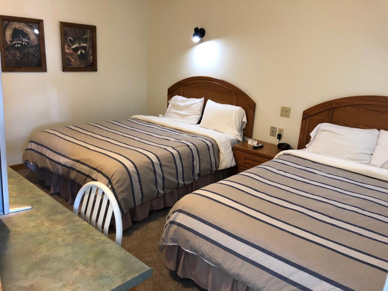 Village Inn Motel Chatham Extérieur photo